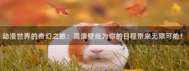omofun动漫下载：动漫世界的奇幻之旅：高清壁纸为你的日程带来无限可能！