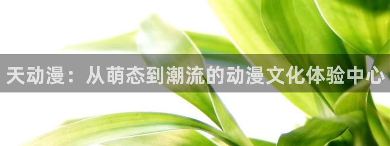 omofun动漫官网：天动漫：从萌态到潮流的动漫文化体验中心