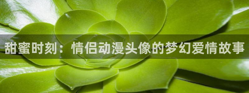omofun官方网站：甜蜜时刻：情侣动漫头像的梦幻爱情故事