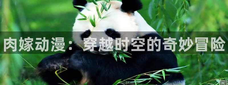 omofun.cn：肉嫁动漫：穿越时空的奇妙冒险