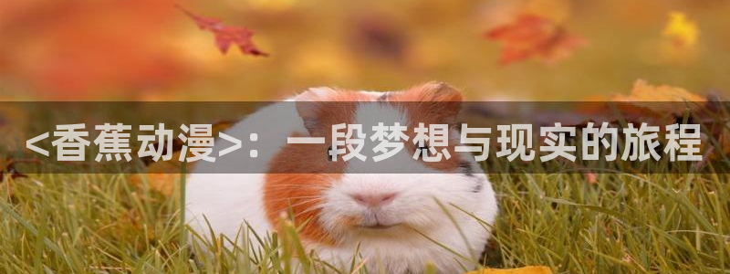 omofun动漫免费看官网入口在哪：<香蕉动漫>：一段梦想与现实的旅程